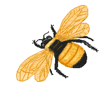 bee