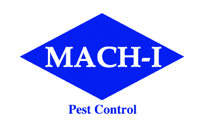 Mach-I Logo